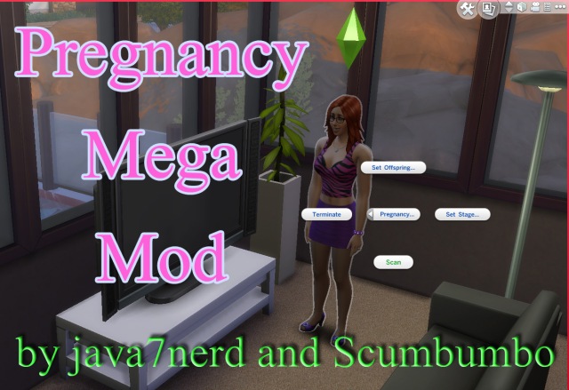 screenshot of pregnancy mega mod